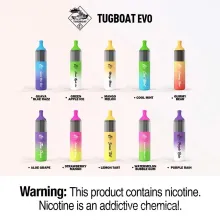 EVO 4500 Puffs 12ml Atomizer Original Pod E-Zigarette